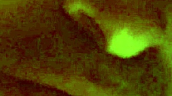 jodigurl shows off her shemale body