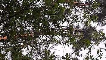 min kjæreste og jeg kikker på forbipasserende i parken mens vi onanerer