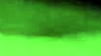 Another blowjob from the prostitute.