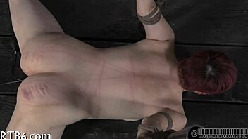 painful facial punishment for honey