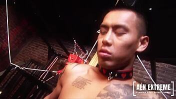 Amy Azurra and Tanya Cox are fucking the caged gimp