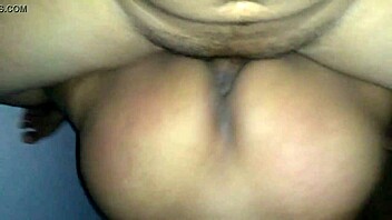 brazilian culture and traditions explored in depth