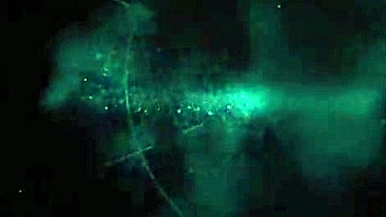 Riley Reyes Rubs Ass Against Dick While Charlie Harper Touches It