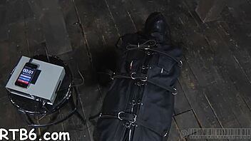 free sadomasochism sites for information