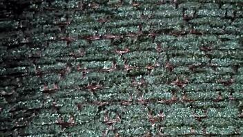 First Porn With Pregnant Girlfriend 2