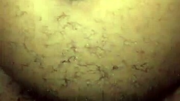 exploring spanish culture with a european twist