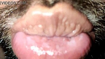 Put your pussy here for me to lick and suck with my tongue