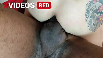 male escorts in sao paulo wild orgy