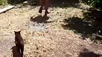 wife gets ass licked outdoors in femdom muff diving