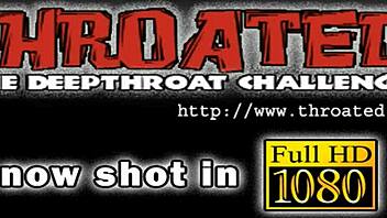 The calf is sucking on that ramrod in the field.