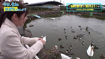 watch the complete story of this japanese amateur couple's intimate encounter