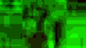 ebony woman shares story with black friend