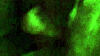 ebony woman shares story with black friend