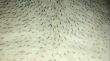 Sucked Her Ass And Pussy Deliciously, Got A Blowjob In Return For Affordable More Videos