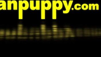 Gay dilf richard farts in his tighty whities