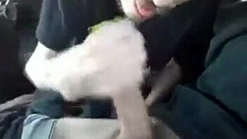 buddy texted me for a sloppy blowjob 😏