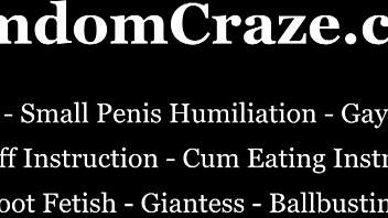 Mistress Calls You a Fat Disgusting Slob