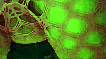 Bb w mature amateur is a total sex object in hd! 😘