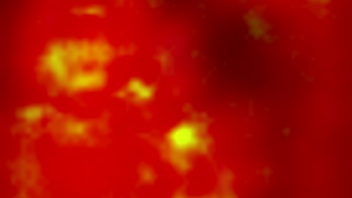 Young girl sucking and fucking pussy with enthusiasm.