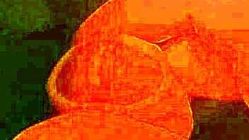 Tied Up Slave Plays with Cock!