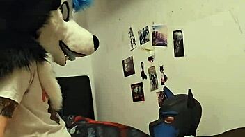 Femboy Husky Fursuiter Rides Boyfriend To Cumshot.