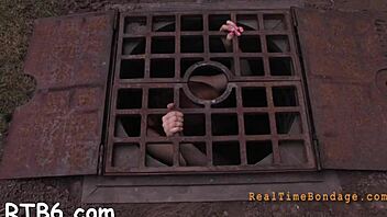 Experience the ultimate pleasure with free BDSM videos