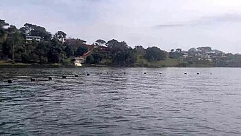 Bodybuilder's Huge Ass and Tits in Deepthroat, or Is It Farting?