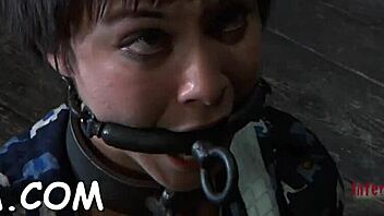 These cuties submit totally, getting their tight pussies fucked hard 😈