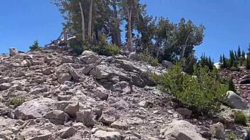 Suck My Balls Mt Lassen To Lake Tahoe Part 9 The Movie