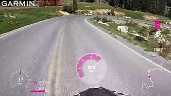 Suck My Balls Mt Lassen To Lake Tahoe Part 9 The Movie