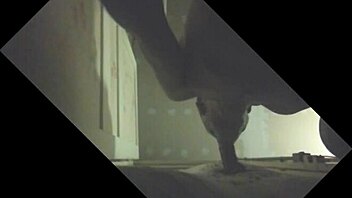 Etalon couilles pleines gros juteur se fait purger en glory hole.