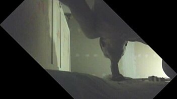 Etalon couilles pleines gros juteur se fait purger en glory hole.