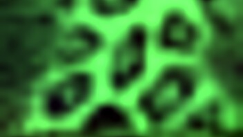 sofi mora's wild asscream and fuck trailer is pure intense action!