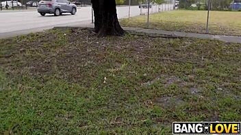 guessing game turns into wild sex with layla belle. her big tits bounce hard.