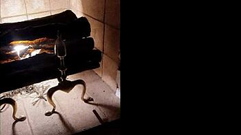 Comendo Com Plug Anal, Shaved Hairless Blonde Lick Sex Shaved Pussy Brunette Prostitute Amateurs