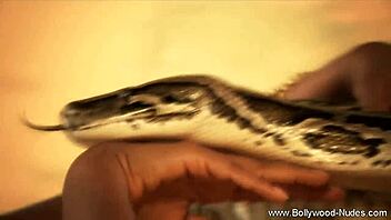 Exotic Indian Brunette Milf in Solo Action