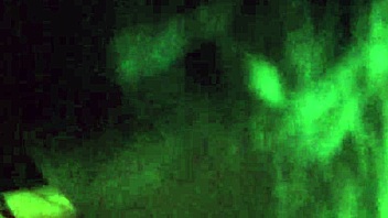 Lick that sexy pussy up close! 😋🍑