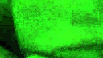 Lick that sexy pussy up close! 😋🍑