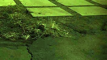 Wife Fucks Teen Girl Hard!