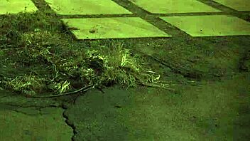 Wife Fucks Teen Girl Hard!