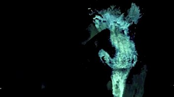 Vintage Lesbian Threesome In Secret Life