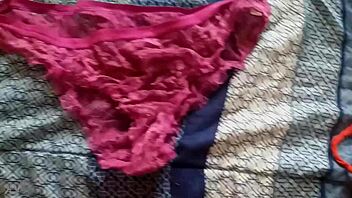 i cum in my sister-in-law's panties while having sex