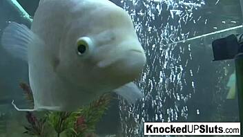 Pregnant brunette craving a wild bedroom session tonight?