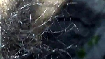 vietnamese couple gets down with intense bedroom action