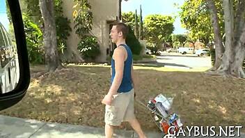 Are Fellows Having Homosexual Sex?