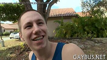 Are Fellows Having Homosexual Sex?