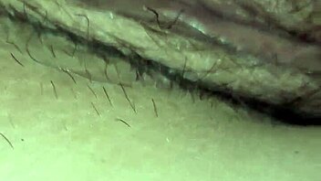 Stallion With Ass And Pussy Action