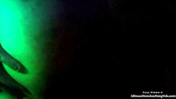 bbw nerd with huge ass sucks small cock and fucks doggystyle 😍