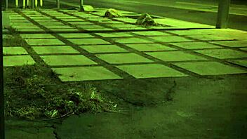 Two with big butts fuck master 😈