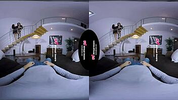 tsvirtuallovers - shemale bitches fighting for a cock